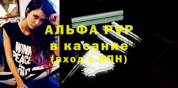индика Кулебаки
