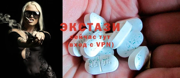 индика Кулебаки