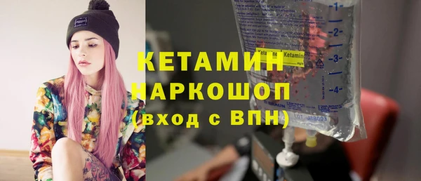 индика Кулебаки