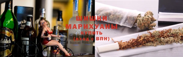 индика Кулебаки