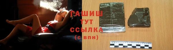 индика Кулебаки