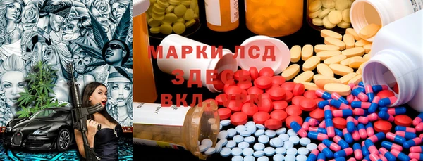 индика Кулебаки