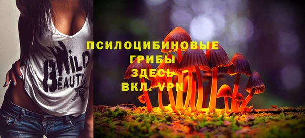индика Кулебаки