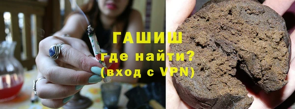 индика Кулебаки