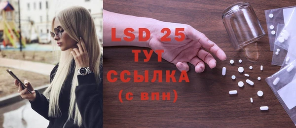 индика Кулебаки