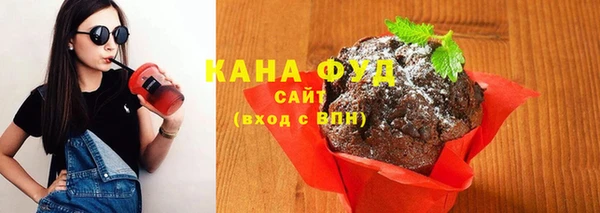 индика Кулебаки