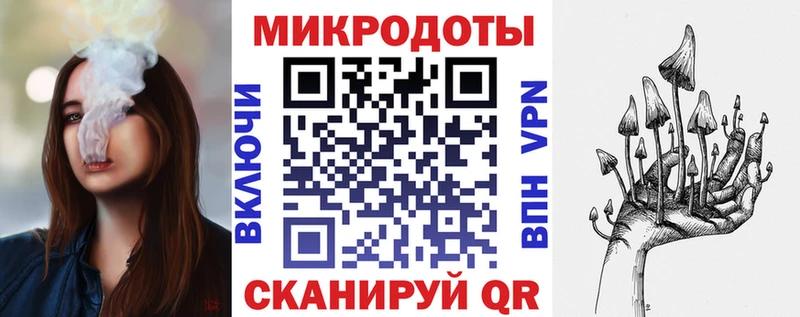 Купить  Верея  Галлюциногенные грибы GOLDEN TEACHER 